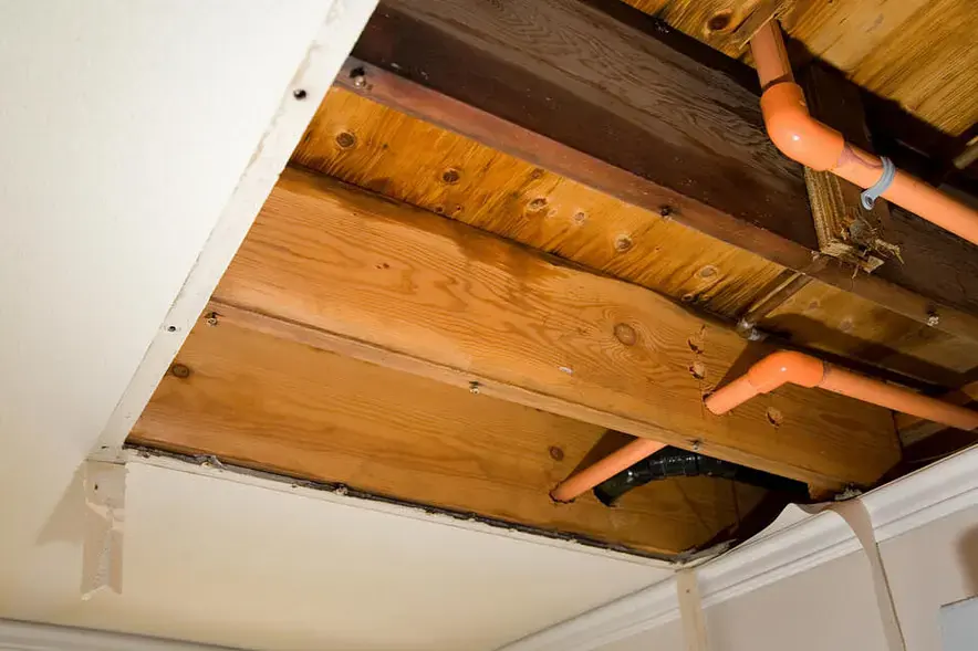 Ceiling opened below an upstairs bathroom to expose wet joists and drain pipes