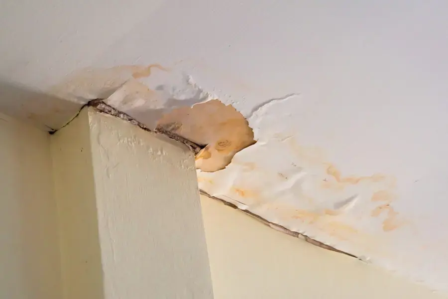 Water-stained, peeling ceiling drywall below a tile roof leak